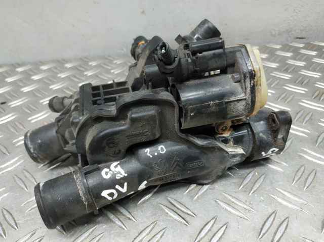 9804160380 Peugeot/Citroen