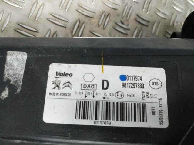 9817297880 Peugeot/Citroen