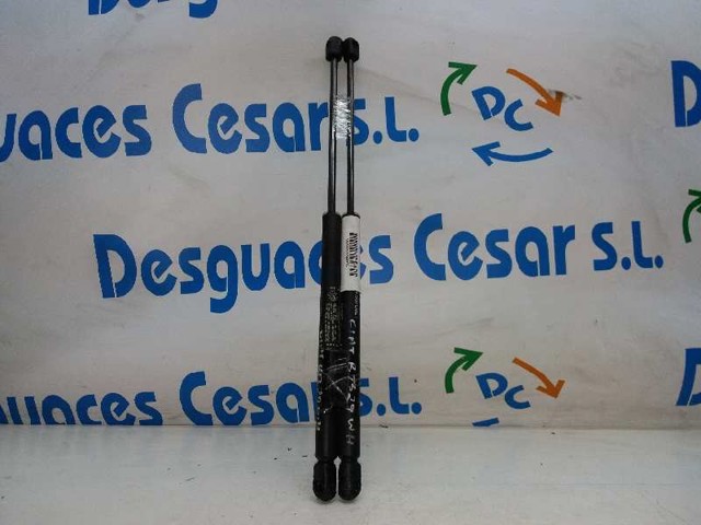 Amortyzator klapy bagażnika (3/5 drzwi-tylnych) Fiat Bravo 1 182