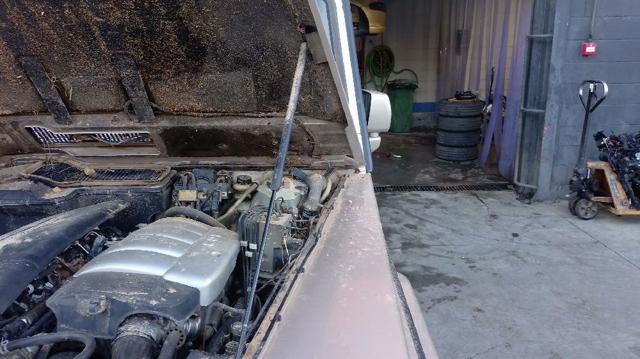 Amortyzator maski 0009808164 MERCEDES