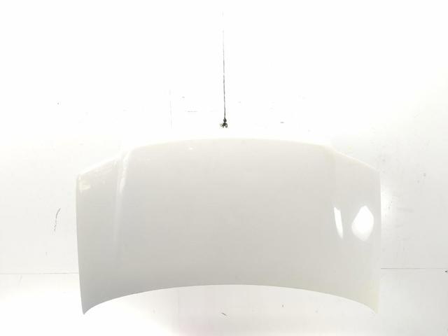 Maska silnika 0051876323 FIAT