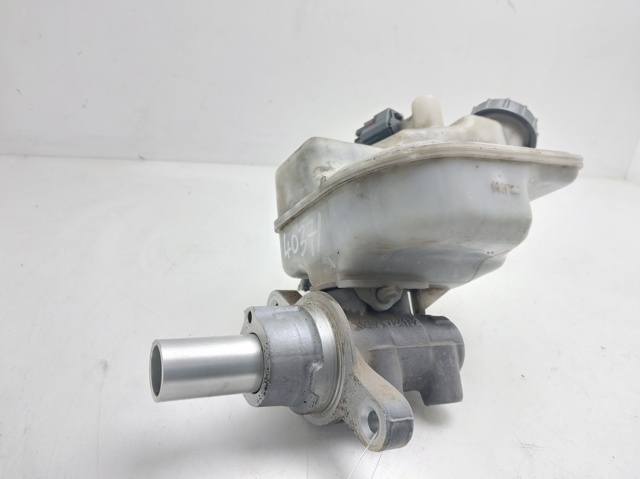 Zbiorniczek głównego cylindra hamulcowego (płynu hamulcowego) 0204051174 FORD