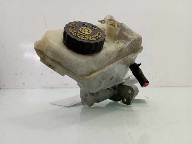 0204Y21951 Renault (RVI)