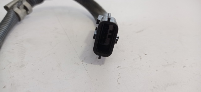 0258010110 Renault (RVI)