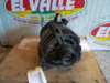 Alternator 028903025H VAG