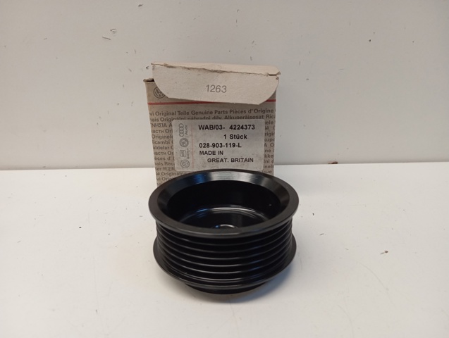 028903119L VAG