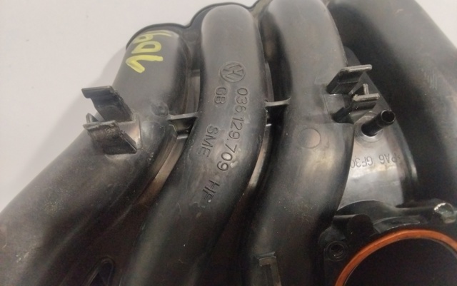 036129709 VAG