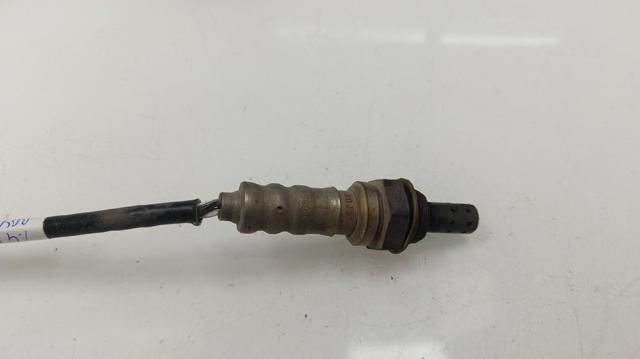 036906262D VAG