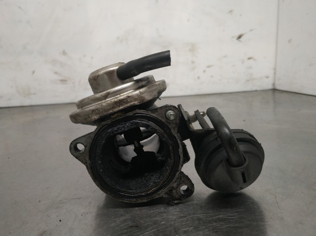 038129637B VAG