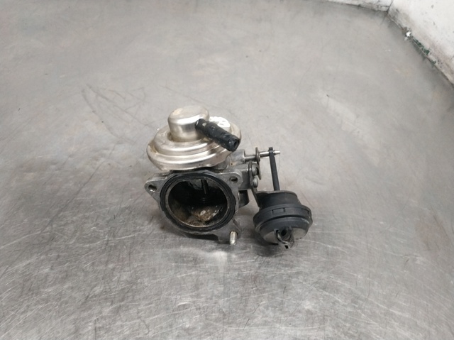 038129637B VAG