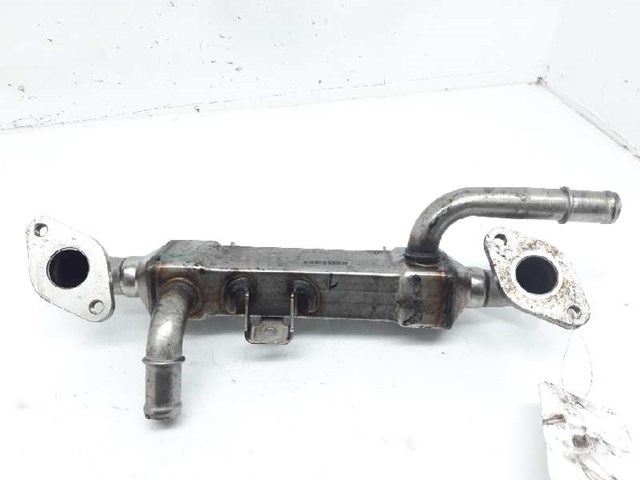Chłodnica układu recyrkulacji spalin EGR  038131513L FORD