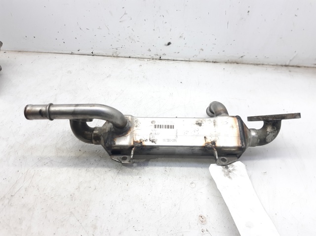 038131513L Ford