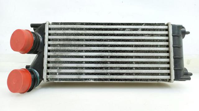 0384N9 Peugeot/Citroen