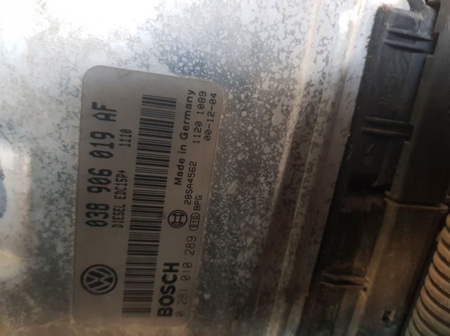 038906019AF VAG