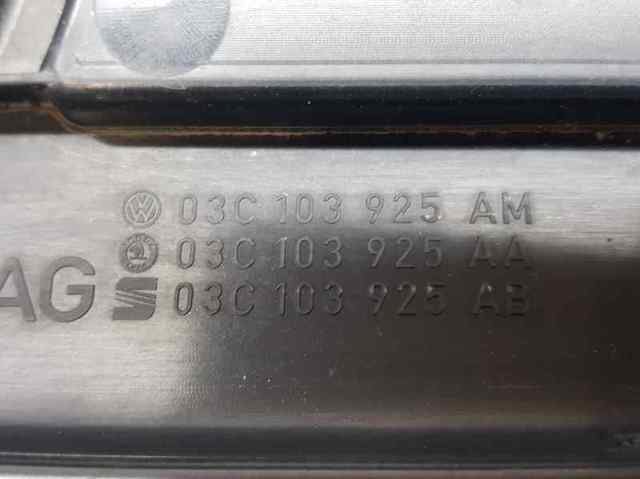 03C103925AM VAG