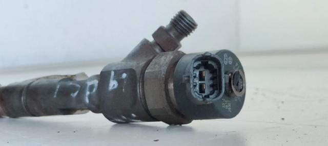 0445110021 Renault (RVI)