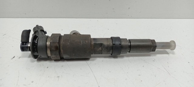 0445110135 Peugeot/Citroen