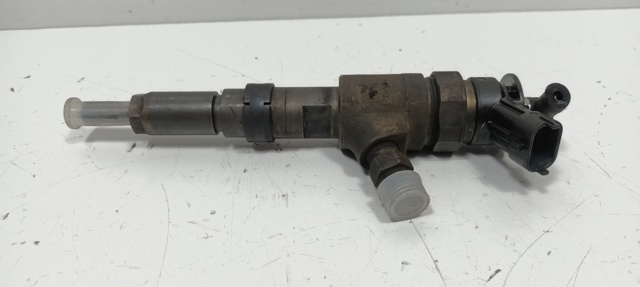 0445110135 Peugeot/Citroen