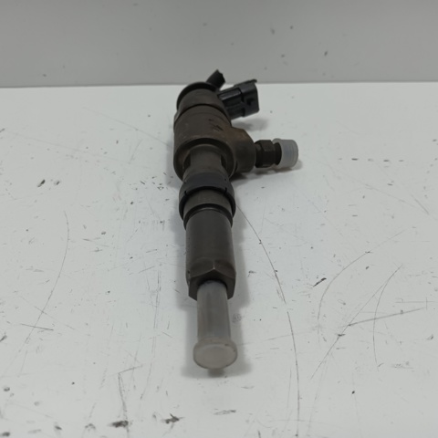 Wtryskiwacz paliwa 0445110135 PEUGEOT