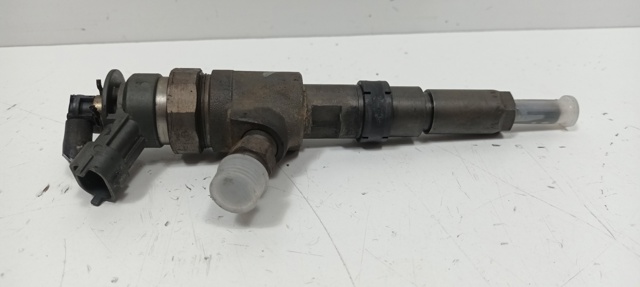 0445110135 Peugeot/Citroen