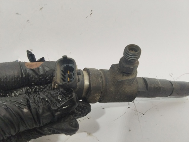 0445110135 Peugeot/Citroen