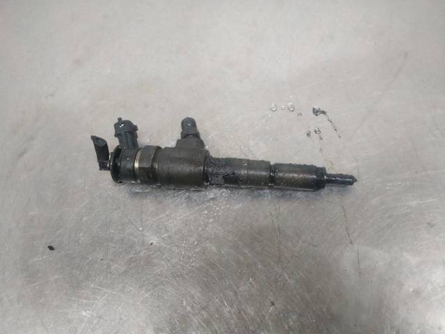 0445110135 Peugeot/Citroen