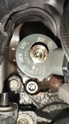 0445110239 Peugeot/Citroen