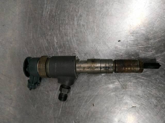 0445110252 Peugeot/Citroen