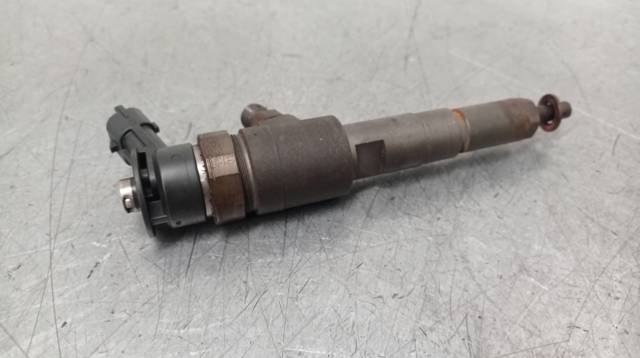 0445110252 Peugeot/Citroen