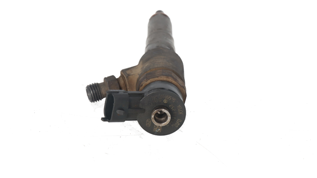 Wtryskiwacz paliwa 0445110252 PEUGEOT