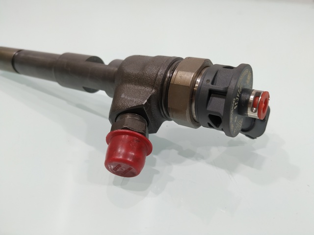 0445110485 Renault (RVI)