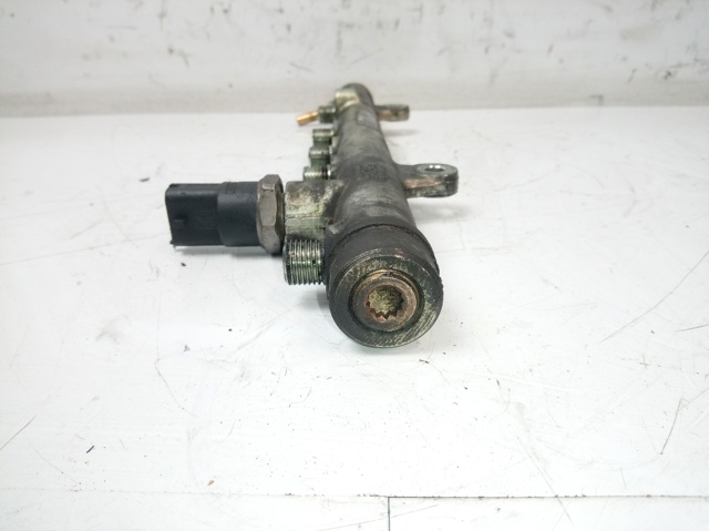 0445214065 Renault (RVI)