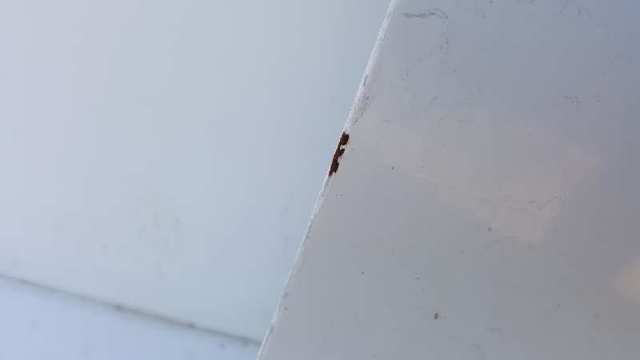 Drzwi przednie prawe Dodge Caravan NS