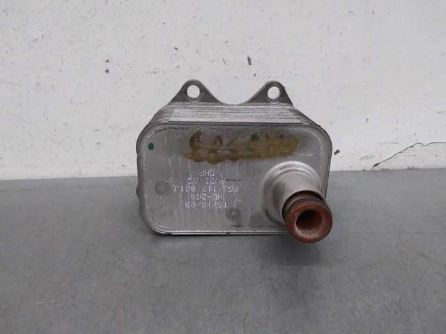 06J117021J VAG