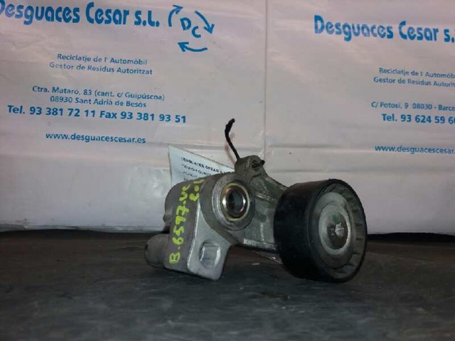 Rolka napinacza paska rozrządu 082959 PEUGEOT