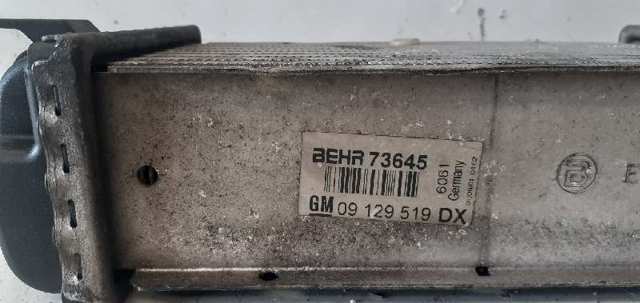 09129519 Opel