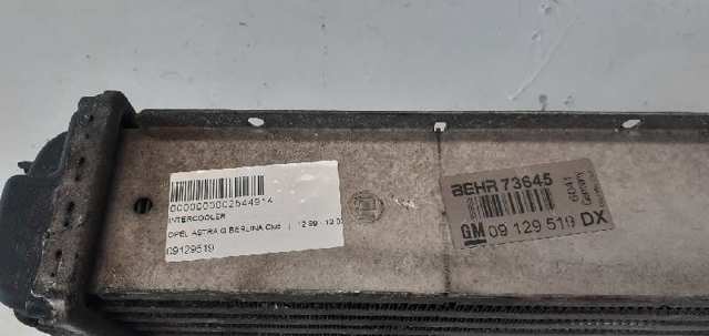 09129519 Opel