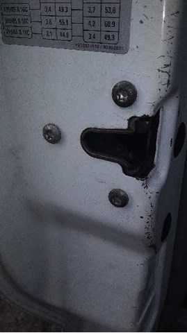 Drzwi przednie lewe 100043499 NISSAN