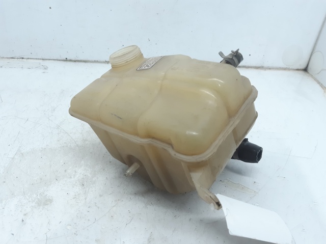 Zbiorniczek wyrównawczy układu chłodzenia 1047497 FORD