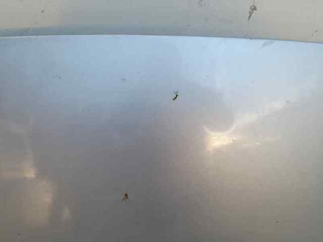 Maska silnika 1077566 FORD