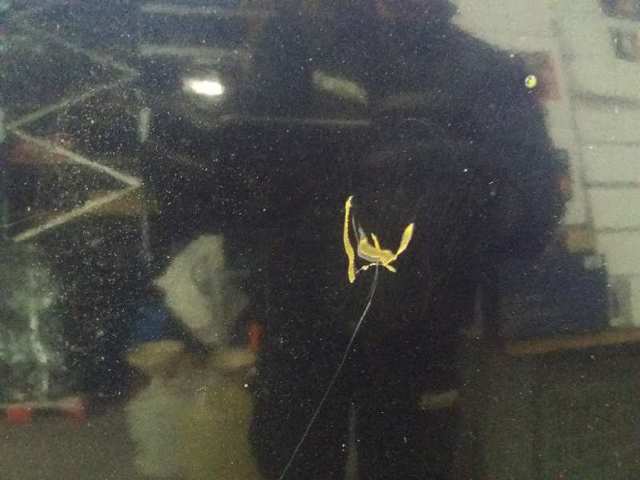 Maska silnika Ford Fiesta JAS, JBS