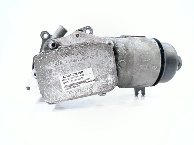 1103N9 Peugeot/Citroen