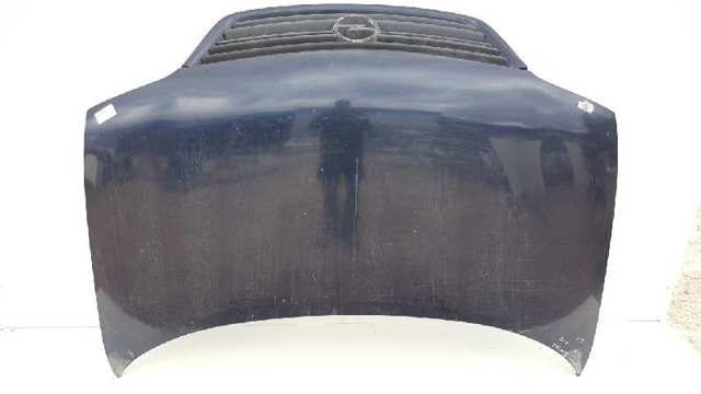 Maska silnika Opel Sintra