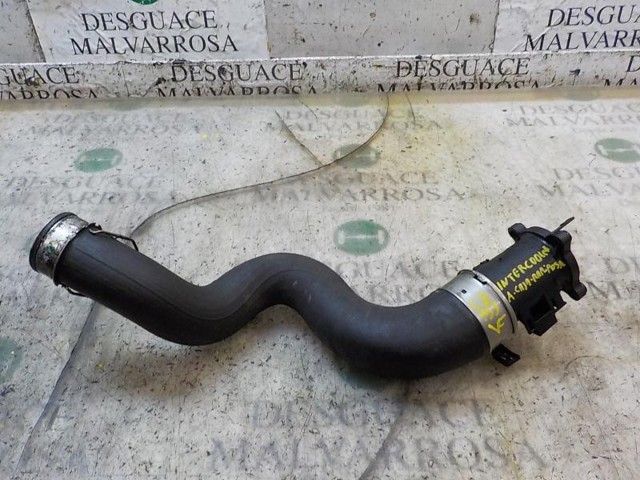 11618513289 BMW