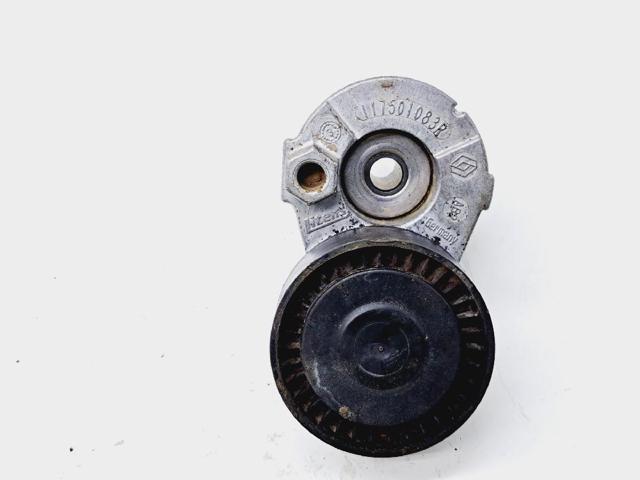 117501083R Renault (RVI)