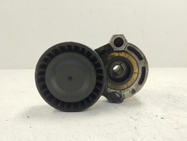 117501113R Renault (RVI)