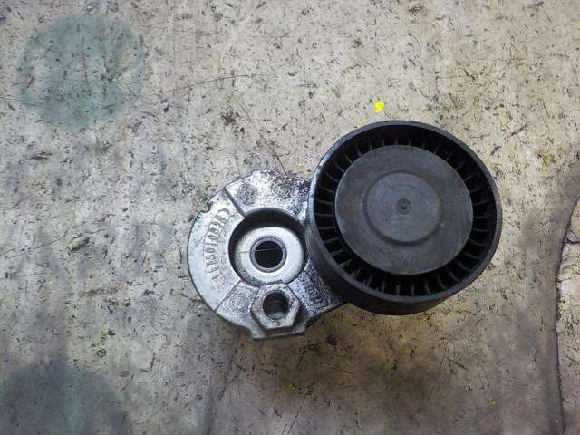 117501113R Renault (RVI)