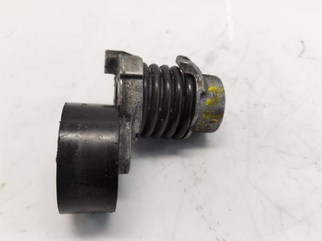 117506193R Renault (RVI)