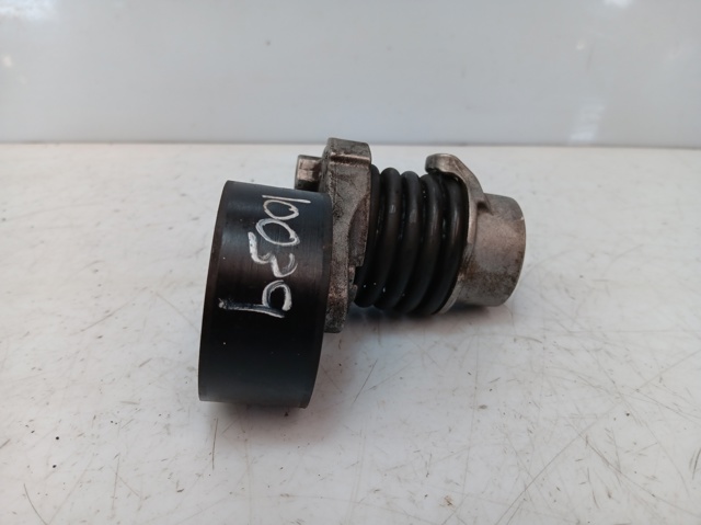117506193R Renault (RVI)