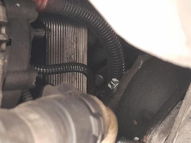12412344232 BMW